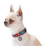 Waudog-Collare-Summer-Nylon-per-Cane-101727694-4