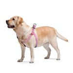 Waudog-Pettorina-Re-Cotton-per-Cane-Rosa-10172740