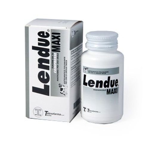 Lendue Maxi Compresse Masticabili 480 MG