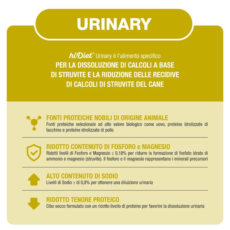 PATOLOGIA-_-URINARY-10173155