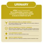 Urinary-10170447