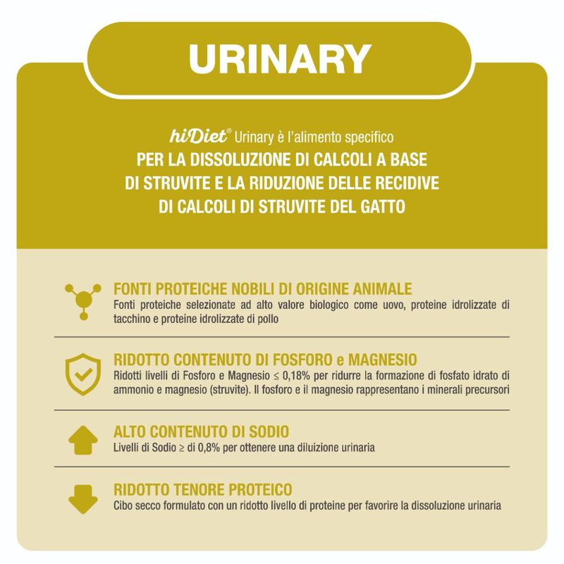 Urinary-10170447