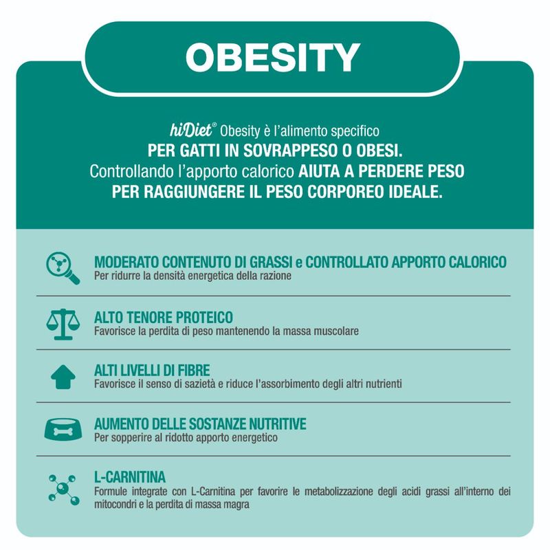 Obesity-10173153