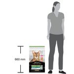 purina-pro-plan-renal-plus-sterilised-adult-1-con-salmone-10066854--3-
