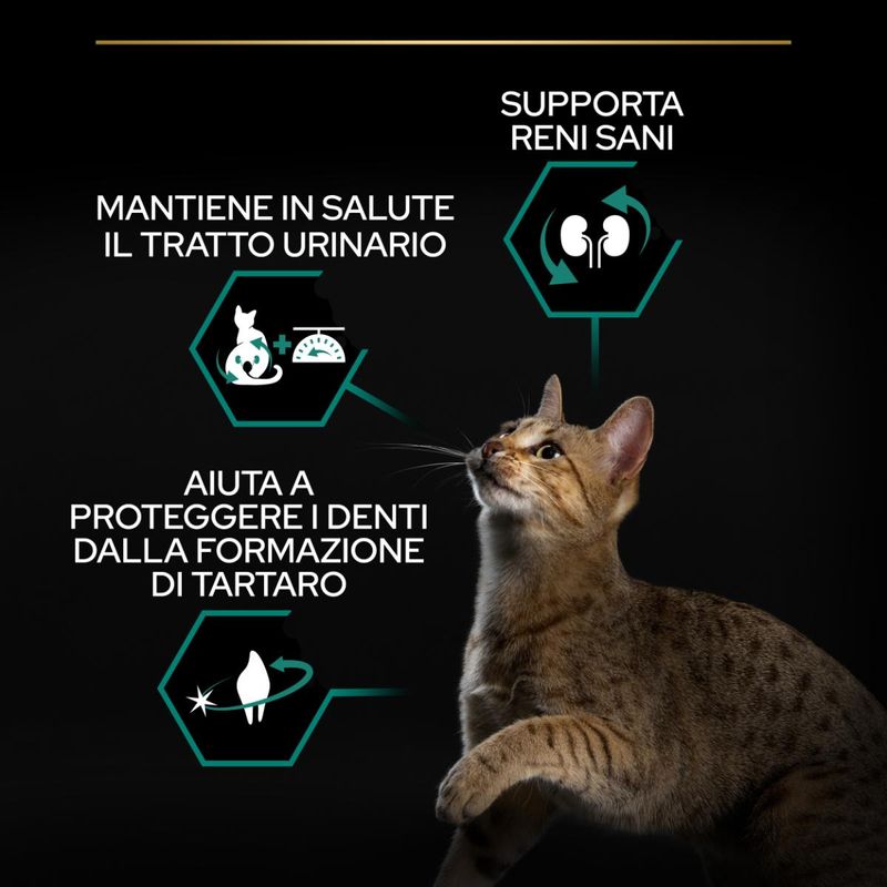 purina-pro-plan-renal-plus-sterilised-adult-1-con-salmone-10066854--6-