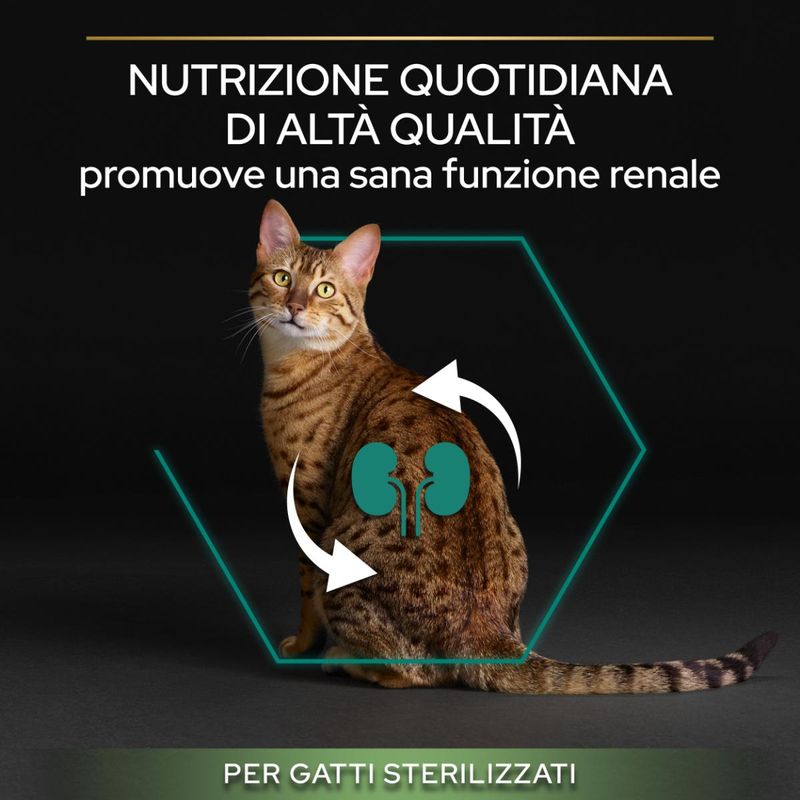 purina-pro-plan-renal-plus-sterilised-adult-1-con-salmone-10066854--7-