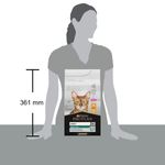 purina-pro-plan-renal-plus-adult-1-con-pollo-00017754--3-