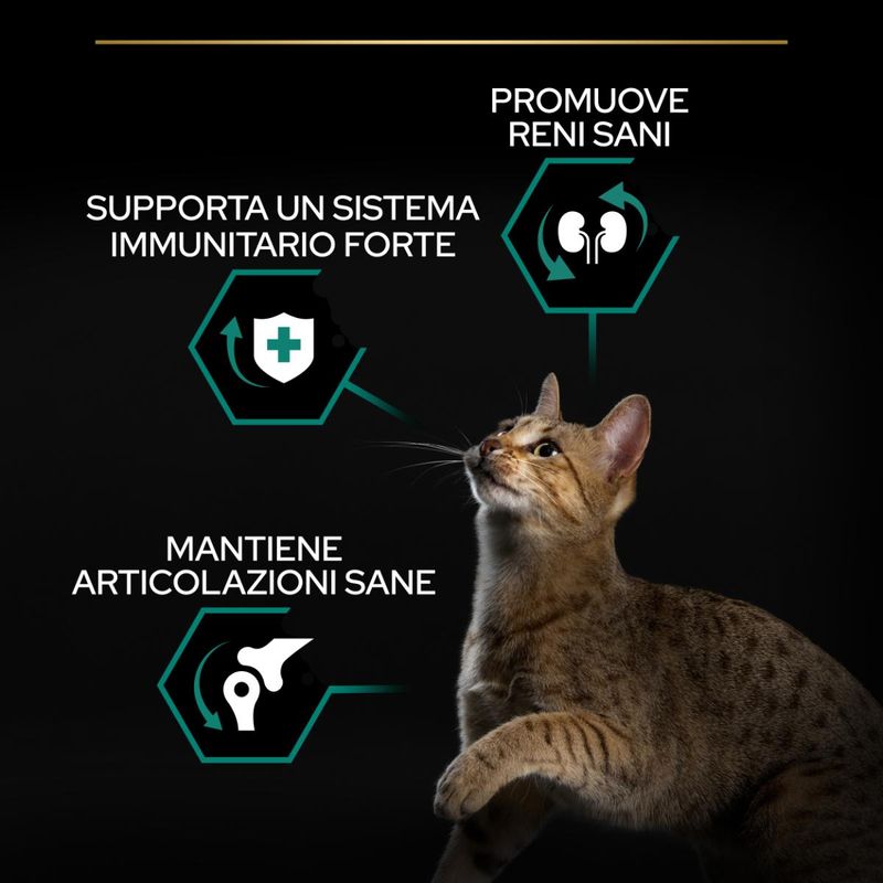 purina-pro-plan-renal-plus-adult-1-con-pollo-00017754--6-
