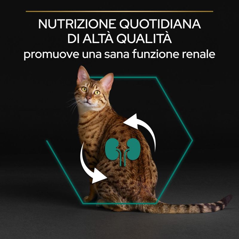 purina-pro-plan-renal-plus-adult-1-con-pollo-00017754--7-