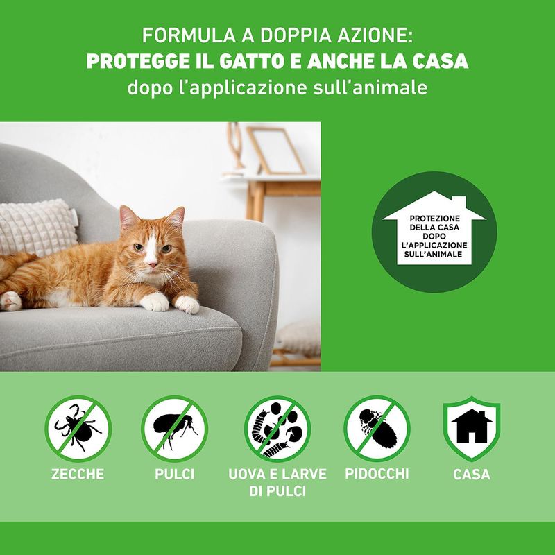 1azione_combogatto-00036178