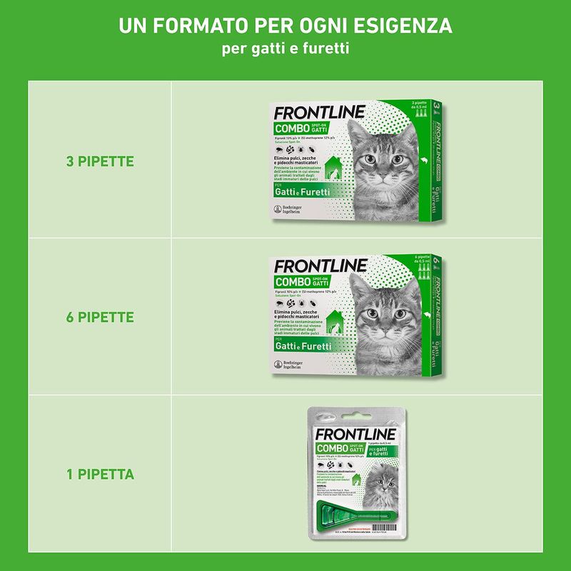 3formati_combogatto-00036168