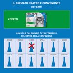 formati_spotongatto-10056265