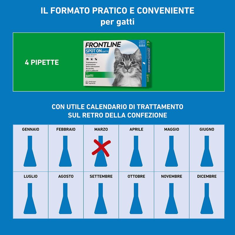 formati_spotongatto-10056265