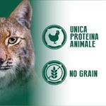 Virtus-Cat-Protein-Selection-Lattina-Multipack-12x85G-10173067-1