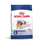 royal-canin-maxi-adult-alimento-completo-per-cani-adulti-di-grande-taglia-00003489--1-