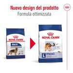 royal-canin-maxi-adult-alimento-completo-per-cani-adulti-di-grande-taglia-00003489--2-