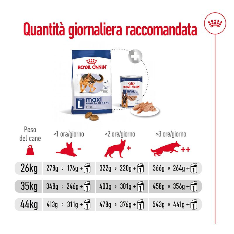 royal-canin-maxi-adult-alimento-completo-per-cani-adulti-di-grande-taglia-00003489--4-