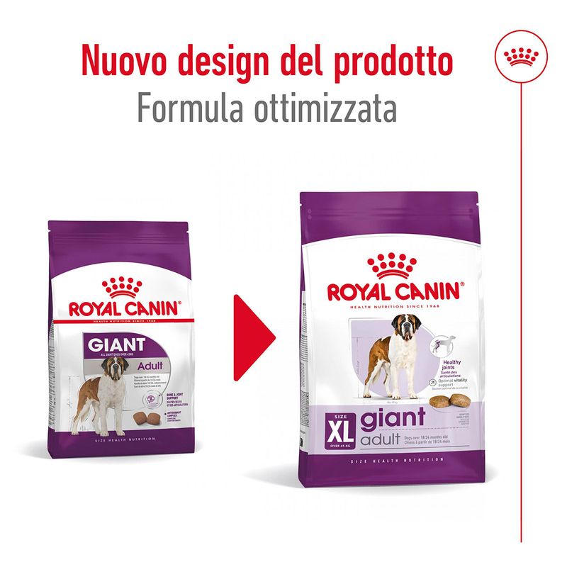 royal-canin-giant-adult-alimento-secco-completo-per-cani-adulti-di-taglia-gigante-00003539--2-
