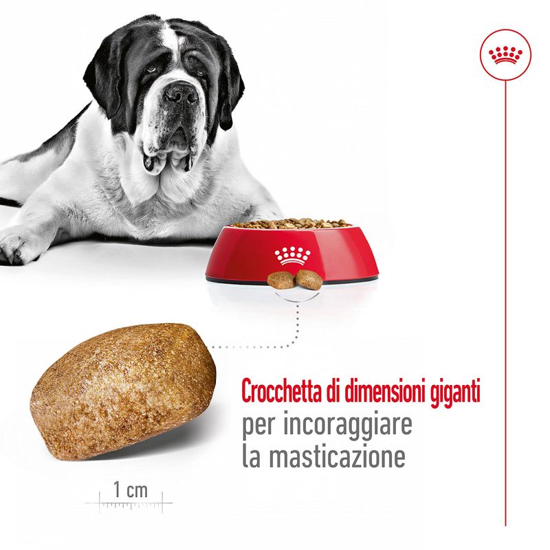 royal-canin-giant-adult-alimento-secco-completo-per-cani-adulti-di-taglia-gigante-00003539--5-