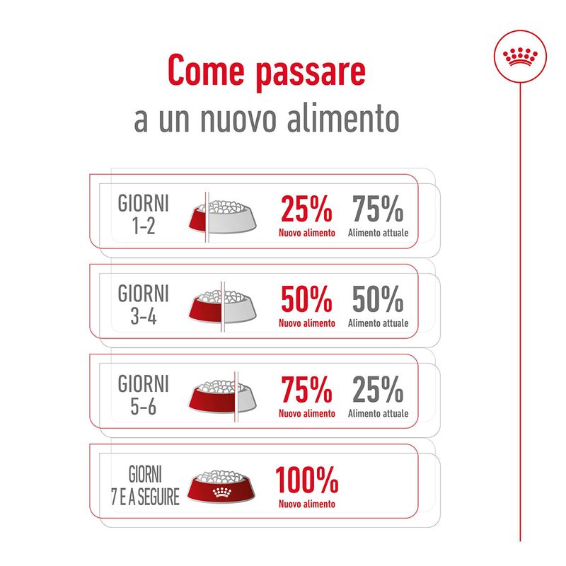 royal-canin-giant-adult-alimento-secco-completo-per-cani-adulti-di-taglia-gigante-00003539--7-