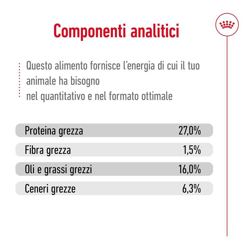 Royal-Canin-Mini-Adult-8--Alimento-Secco-Completo-per-Cani-Maturi-di-Taglia-Piccola-10063092-3