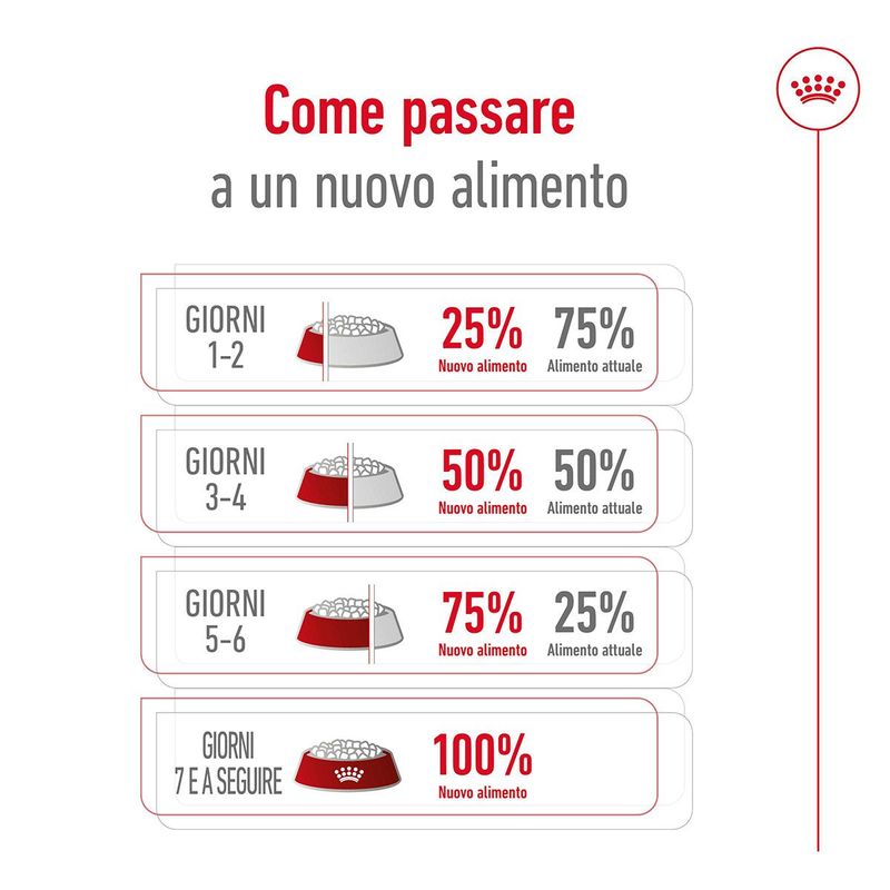 Royal-Canin-Mini-Adult-8--Alimento-Secco-Completo-per-Cani-Maturi-di-Taglia-Piccola-10063092-7