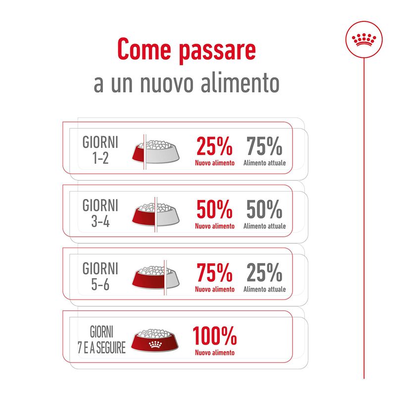 royal-canin-maxi-adult-5-alimento-secco-completo-per-cani-maturi-di-taglia-grande-00003510--7-