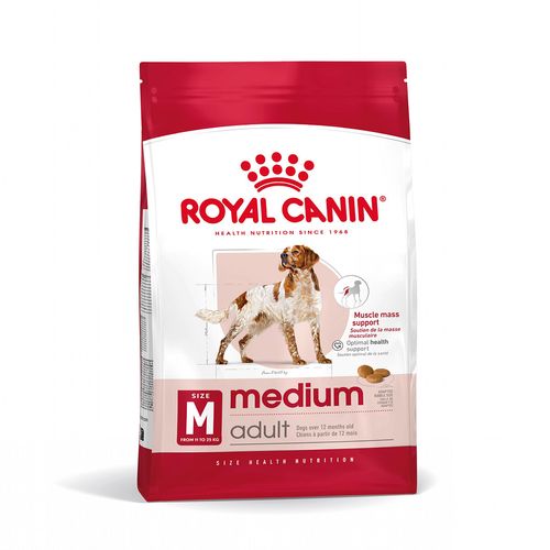 Royal Canin Medium Adult Alimento Completo per Cani Adulti di Taglia Media