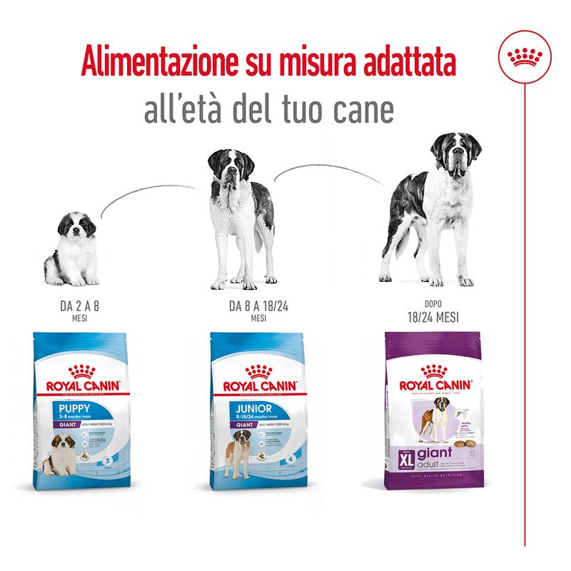 royal-canin-giant-adult-alimento-secco-completo-per-cani-adulti-di-taglia-gigante-00003539--11-