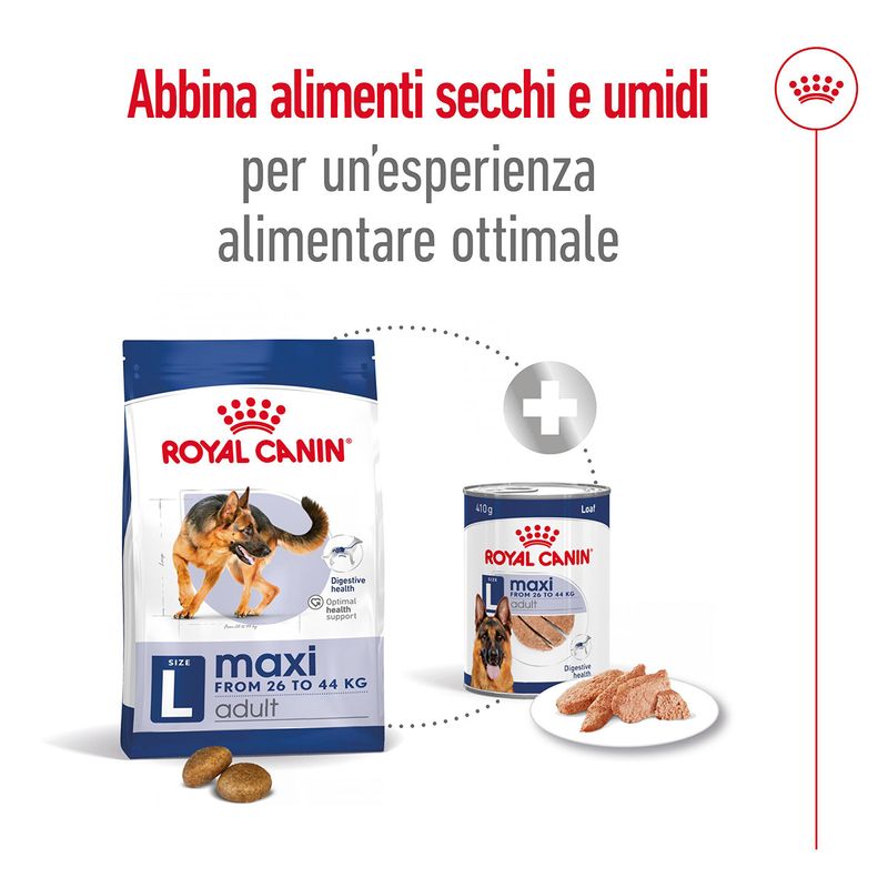 royal-canin-maxi-adult-alimento-completo-per-cani-adulti-di-grande-taglia-00003489--11-