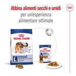 royal-canin-maxi-adult-alimento-completo-per-cani-adulti-di-grande-taglia-00003489--12-