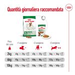 Royal-Canin-Mini-Adult-Alimento-Completo-per-Cani-Adulti-di-Piccola-Taglia-00003637-4