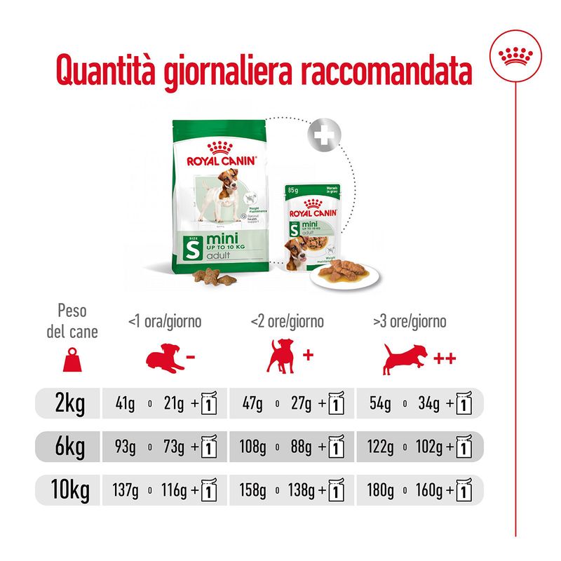 Royal-Canin-Mini-Adult-Alimento-Completo-per-Cani-Adulti-di-Piccola-Taglia-00003637-4