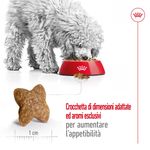 Royal-Canin-Mini-Adult-Alimento-Completo-per-Cani-Adulti-di-Piccola-Taglia-00003637-5