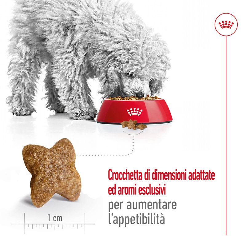 Royal-Canin-Mini-Adult-Alimento-Completo-per-Cani-Adulti-di-Piccola-Taglia-00003637-5