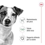 Royal-Canin-Mini-Adult-Alimento-Completo-per-Cani-Adulti-di-Piccola-Taglia-00003637-6