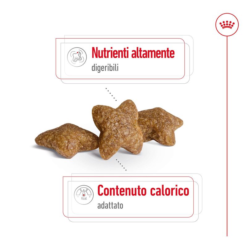 Royal-Canin-Mini-Adult-Alimento-Completo-per-Cani-Adulti-di-Piccola-Taglia-00003637-10