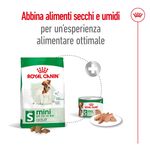 -Royal-Canin-Mini-Adult-Alimento-Completo-per-Cani-Adulti-di-Piccola-Taglia-00003637-12