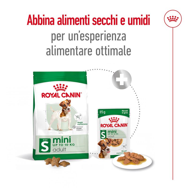 Royal-Canin-Mini-Adult-Alimento-Completo-per-Cani-Adulti-di-Piccola-Taglia-00003637-13