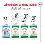 Royal-Canin-Mini-Adult-Alimento-Completo-per-Cani-Adulti-di-Piccola-Taglia-00003637-14