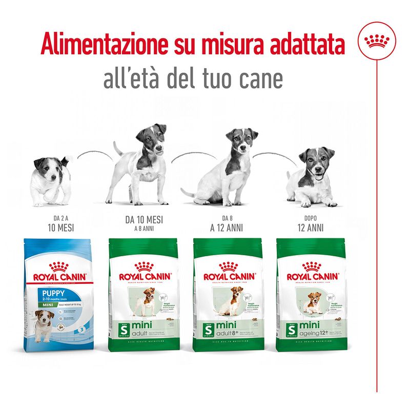 Royal-Canin-Mini-Adult-Alimento-Completo-per-Cani-Adulti-di-Piccola-Taglia-00003637-14