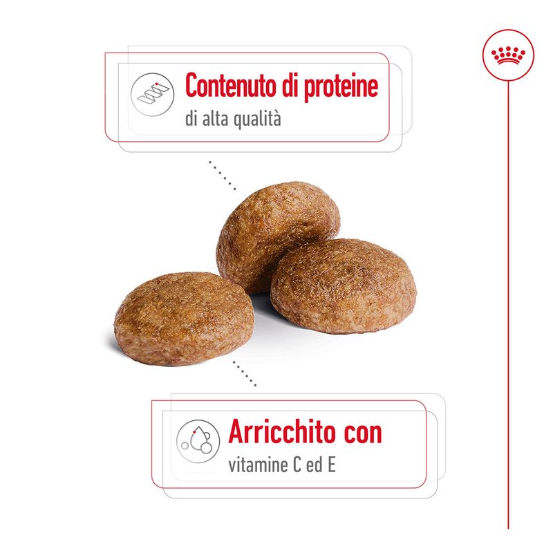 Royal-Canin-Medium-Adult-7--Alimento-Secco-Completo-per-Cani-Maturi-di-Taglia-Media-00003508-10