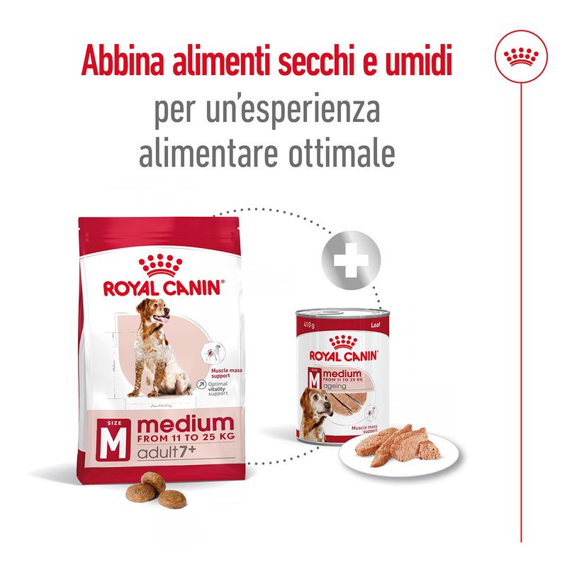 Royal-Canin-Medium-Adult-7--Alimento-Secco-Completo-per-Cani-Maturi-di-Taglia-Media-00003508-13