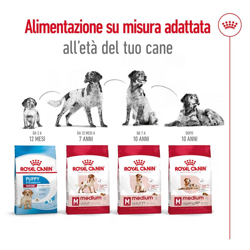 Royal-Canin-Medium-Adult-7--Alimento-Secco-Completo-per-Cani-Maturi-di-Taglia-Media-00003508-14