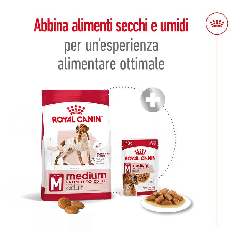 Royal-Canin-Medium-Adult-Alimento-Completo-per-Cani-Adulti-di-Taglia-Media-00003503-12
