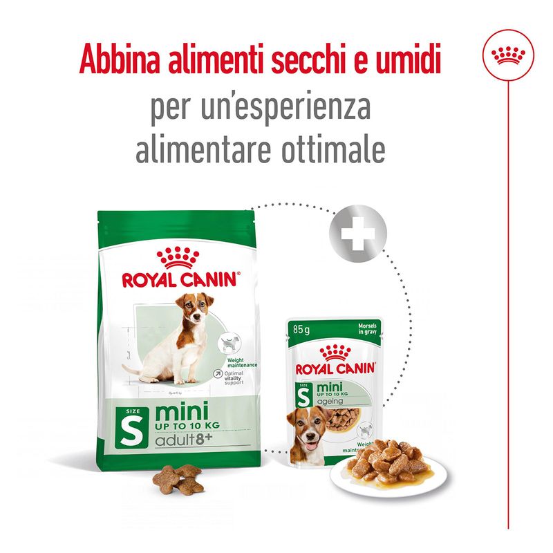 Royal-Canin-Mini-Adult-8-Alimento-Secco-Completo-per-Cani-Maturi-di-Taglia-Piccola-10063092-12
