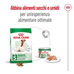 Royal-Canin-Mini-Adult-8-Alimento-Secco-Completo-per-Cani-Maturi-di-Taglia-Piccola-10063092-13