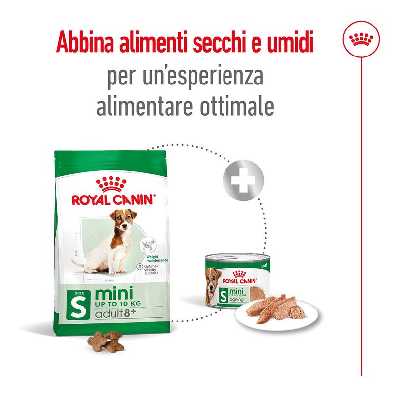 Royal-Canin-Mini-Adult-8-Alimento-Secco-Completo-per-Cani-Maturi-di-Taglia-Piccola-10063092-13