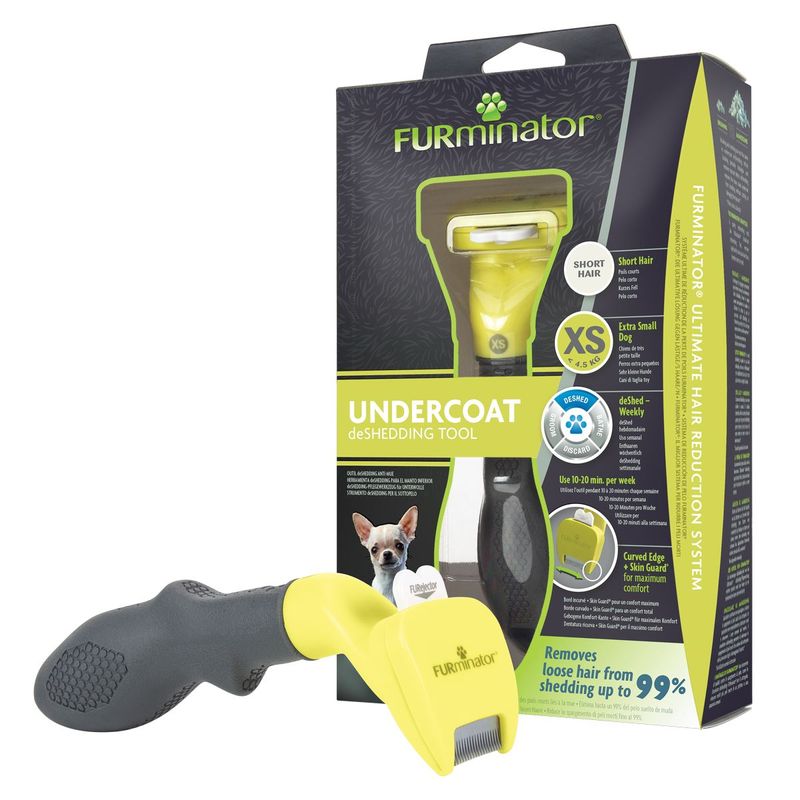 Deshedding-per-Cane-Pelo-Corto--10061305-3