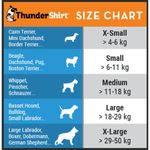 ThunderShirt-Dog-Gilet-Grigio-10169453